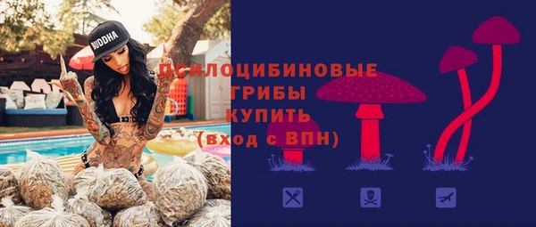 твердый Абинск