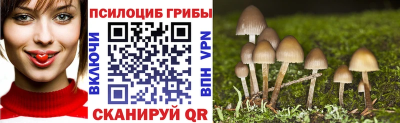 Галлюциногенные грибы ЛСД  darknet официальный сайт  Абинск 